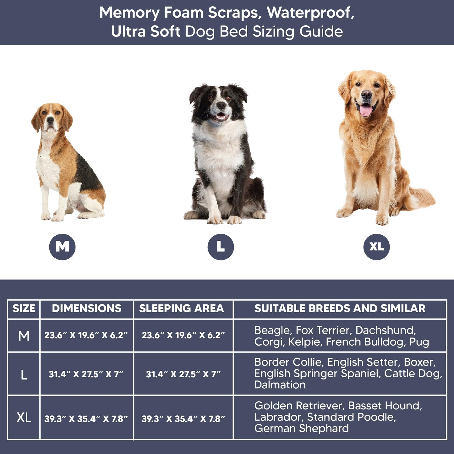 Memory Foam Dog Bed for Medium Dogs- Waterproof Dog Bed Mat with Removable Washable Cover, Waterproof Lining and NonSkid Bottom.Brown