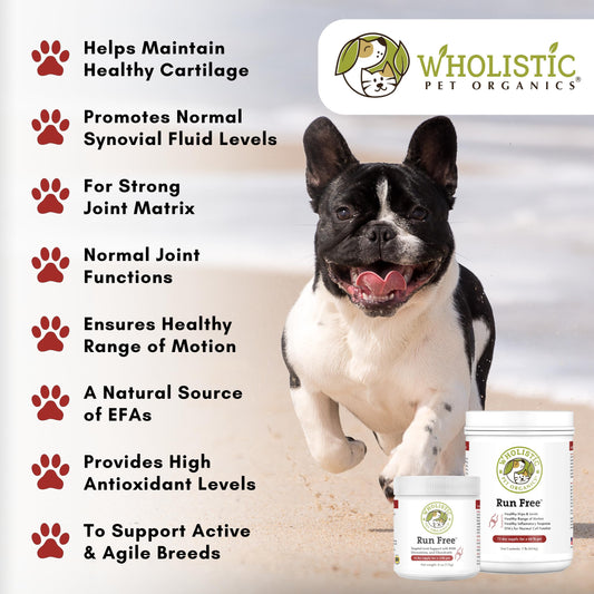 Wholistic Pet Organics Joint Supplement for Dogs - 4 Oz - Daily Dog Hip and Joint Supplement with Glucosamine Chondroitin & MSM to Support Mobility - All Breeds & Ages - Organic Glucosamine for Dogs