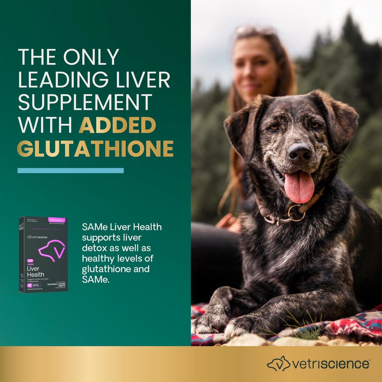VetriScience SAMe Liver Health Tablets, 225 mg S-Adenosyl-Methionine Liver Health and Detox Supplement for Medium and Large Breed Dogs, Glutathione Antioxidant Liver Support, 30 Count