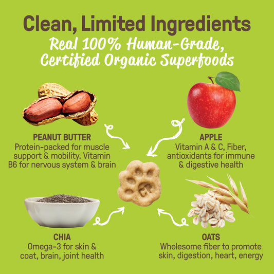 Waggin' Train Salmon Jerky Tenders for Skin & Coat Support for Dogs - 12 oz Pouch - Grain Free, High Protein Dog Treat