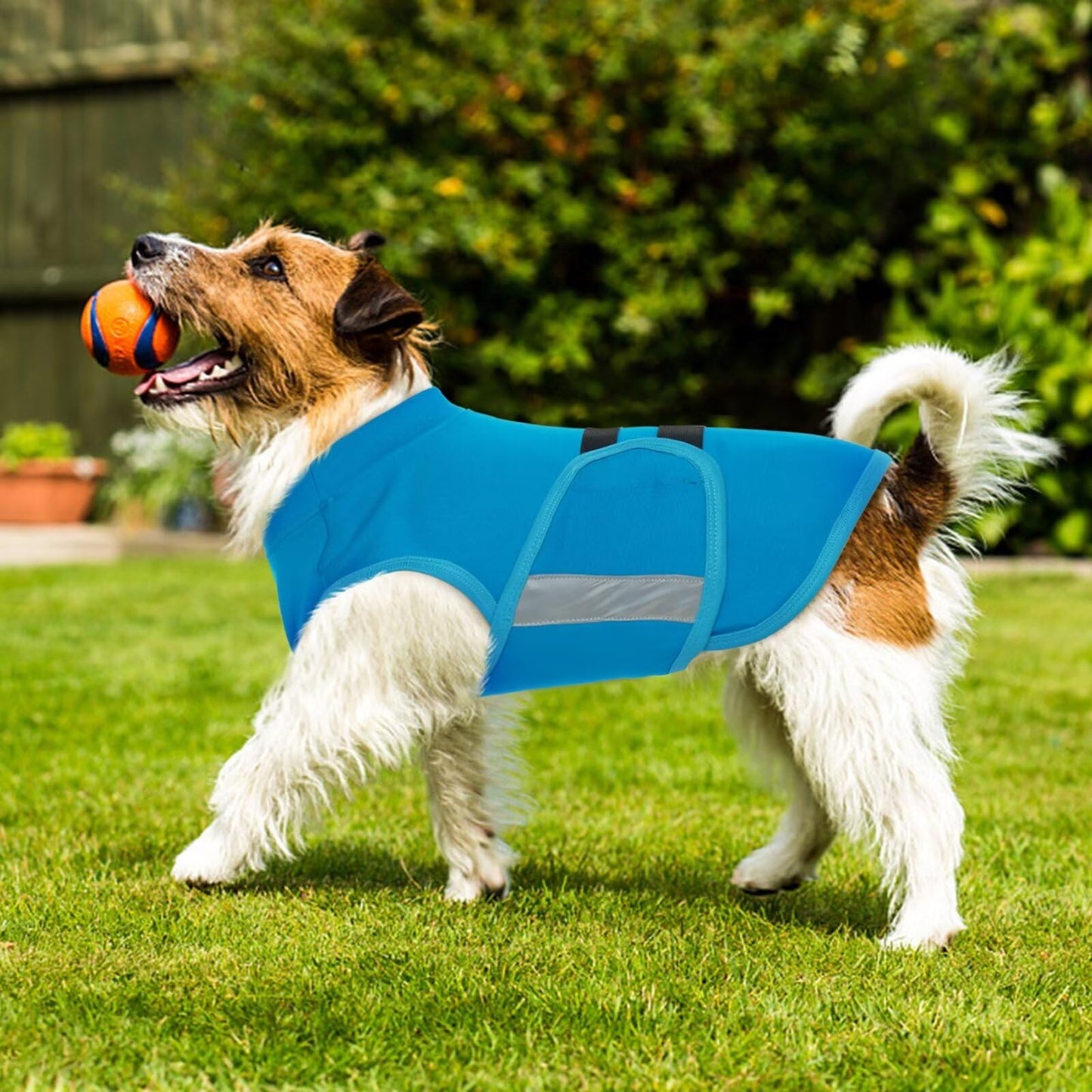 MIGOHI Breathable Dog Anxiety Calming Vest,Dog Firework Anxiety Relief Vest,Dogs Stress and Anxiety Relief Coat,Anxiety Vest for Large Dogs,Blue,XL