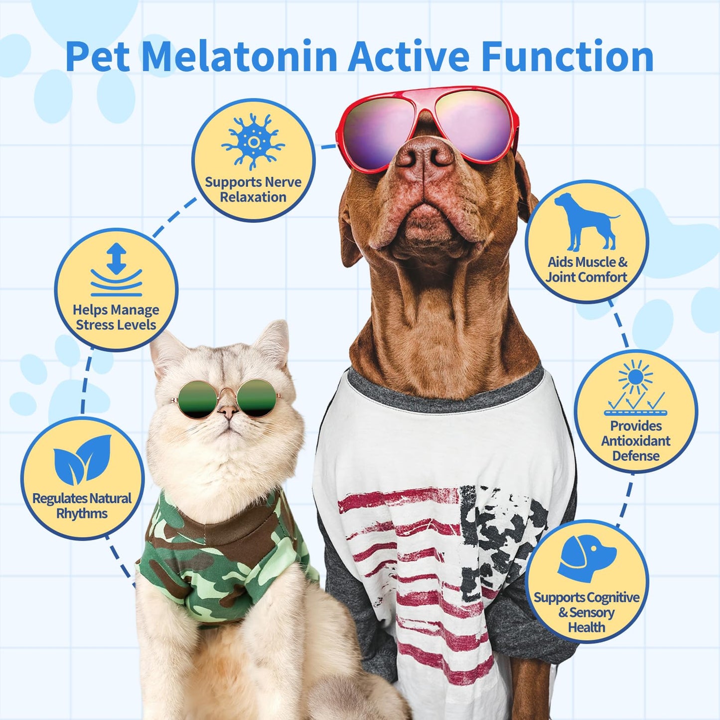 CFILIHTC Calming Drops for Dogs & Cats