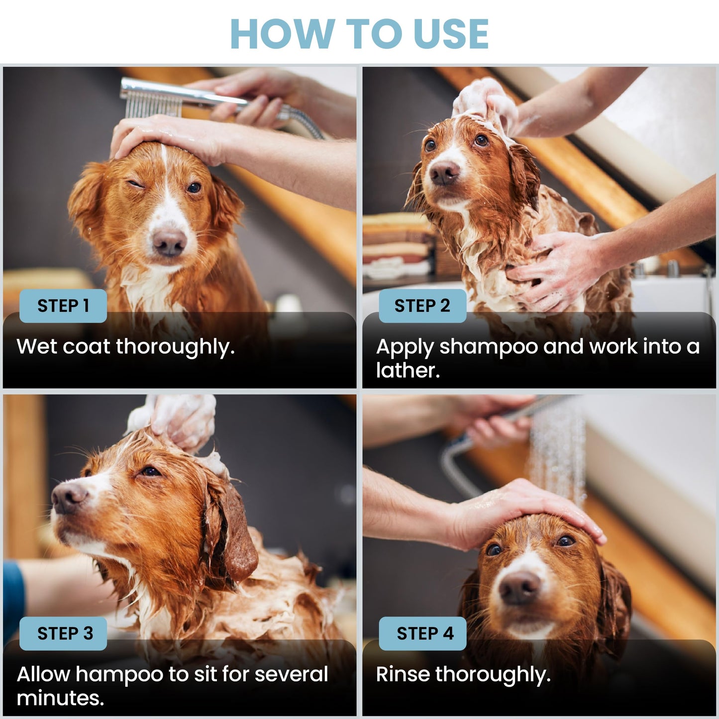 We Love Doodles Puppy Shampoo & Conditioner and Bath Brush | Organic Ingredients | Sensitive & Itchy Skin Wash | Puppy Grooming Accessories for Shower Scrubbing & Soothing Massage | Made in USA