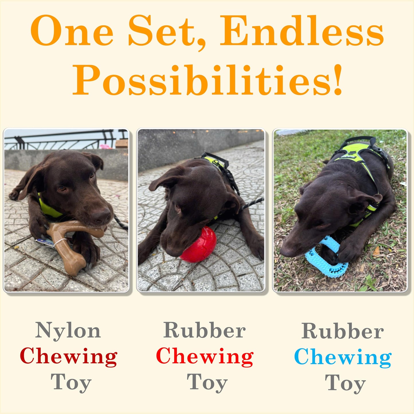 All-Inclusive Tough Dog Toy Set: Treat Dispenser Ball for Non-Stop Play, Durable Nylon Bone for Aggressive Chewers & Rubber Ring for Fetch Fun