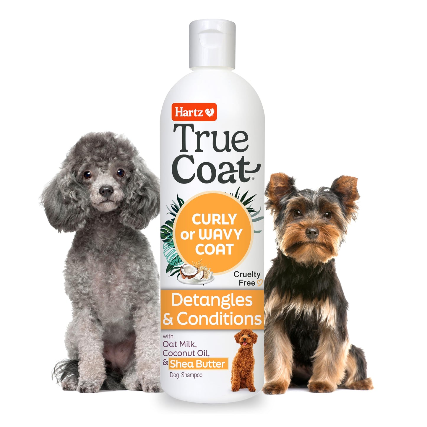 New! Hartz True Coat Curly or Wavy Coat Specific Dog Shampoo, Detangles & Conditions with Oat Milk, Coconut Oil & Shea Butter