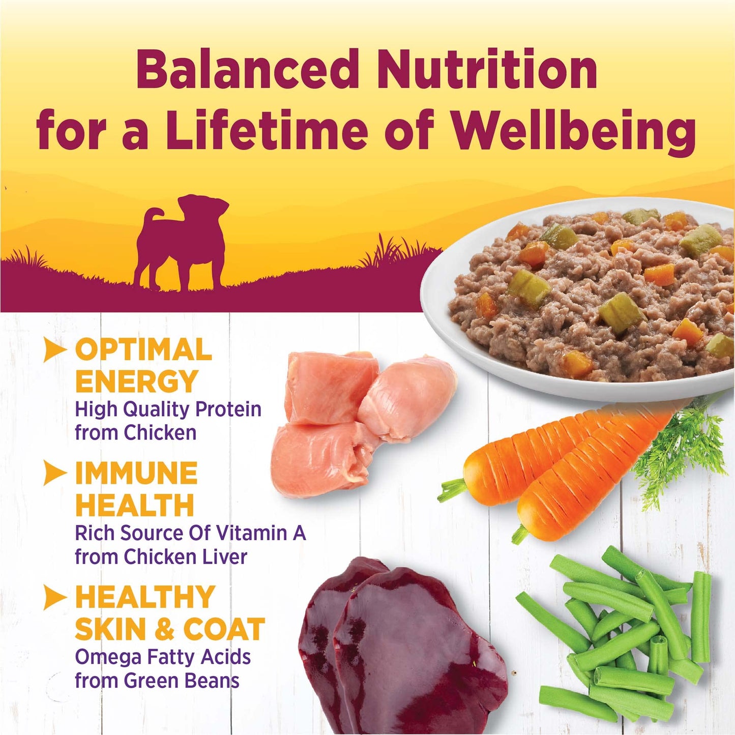 Wellness Petite Entrées Casserole with Tender Chicken, Green Beans & Carrots, 3-Ounce Cup (Pack of 12)