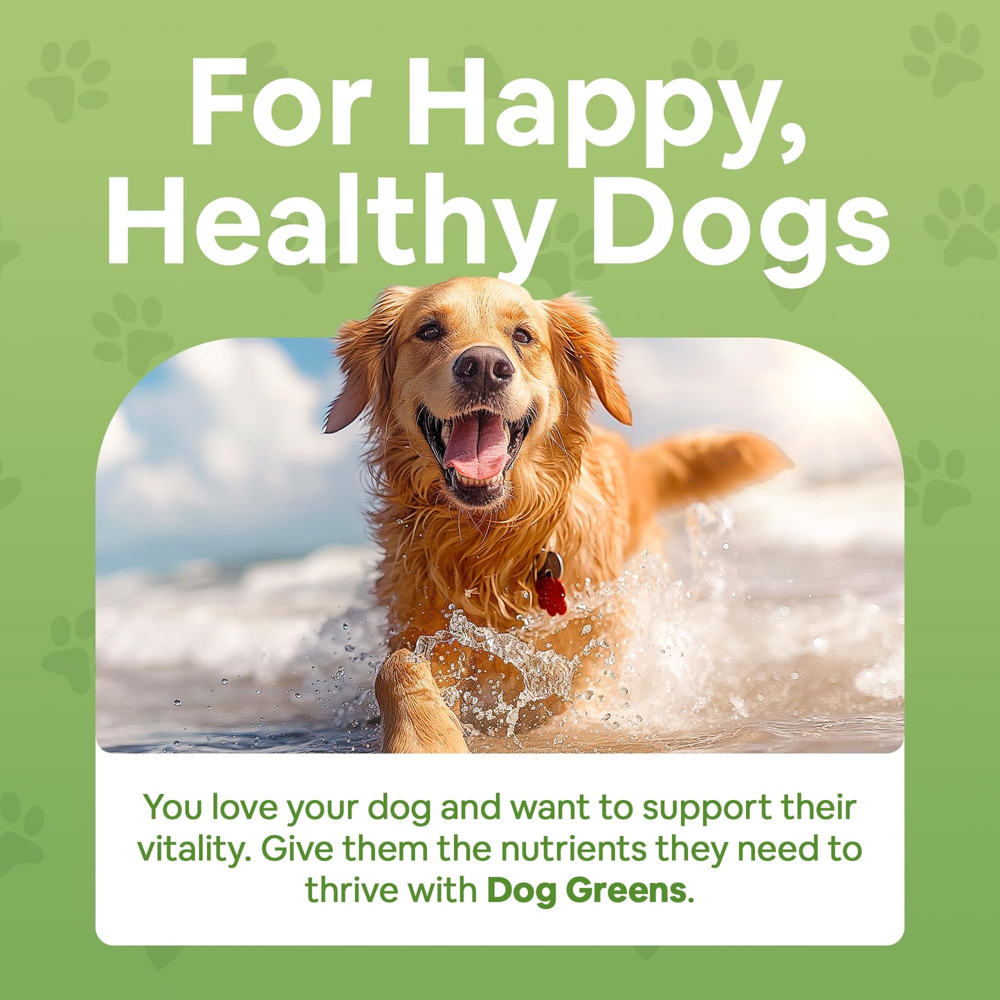 Dog Greens Superfood Multivitamin Powder - Dog Vitamins and Supplements, Organic Kelp, Spirulina, Sea Moss for Homemade Food, Kibble and Raw Meals, Energy, Immune, Joint & Skin Support for All Ages