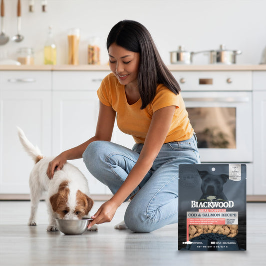 Blackwood Dog Food Topper, Cod and Salmon Recipe, 8 Ounce, High Protein with Omega 3 Fatty Acids, Use as Training Treat, Meal, or Topper