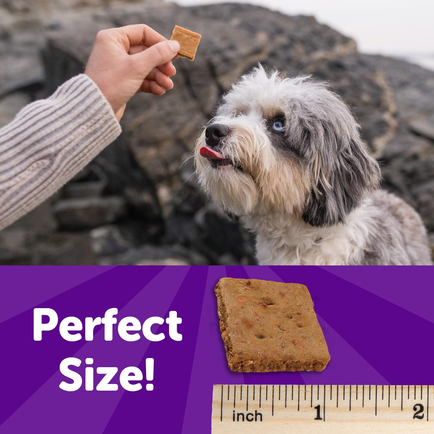 Wellness Rewarding Life Dog Treats, Training Treat, Grain Free, Soft Lamb & Salmon (6 Ounce Bag)