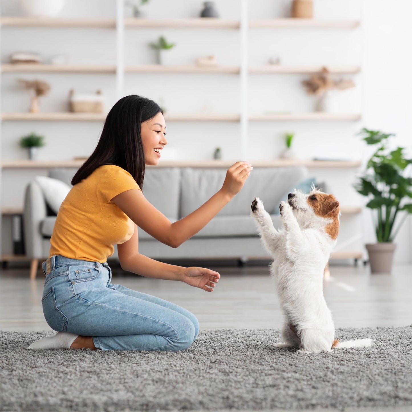 Exclusively Dog Chewy Training Treats Bacon Apple Flavor Grain Free Gluten Free, Made in The USA, 6 oz.