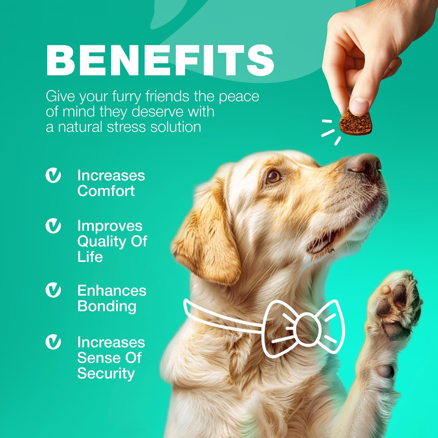 Dog Probiotic Chews with Digestive Enzymes - Probiotics for Dogs, Yeast Powder, Gut Health, Digestion, Immunity, Yeast Balance, Allergies Support - Gut Flora - All Breeds Canine Soft Chews