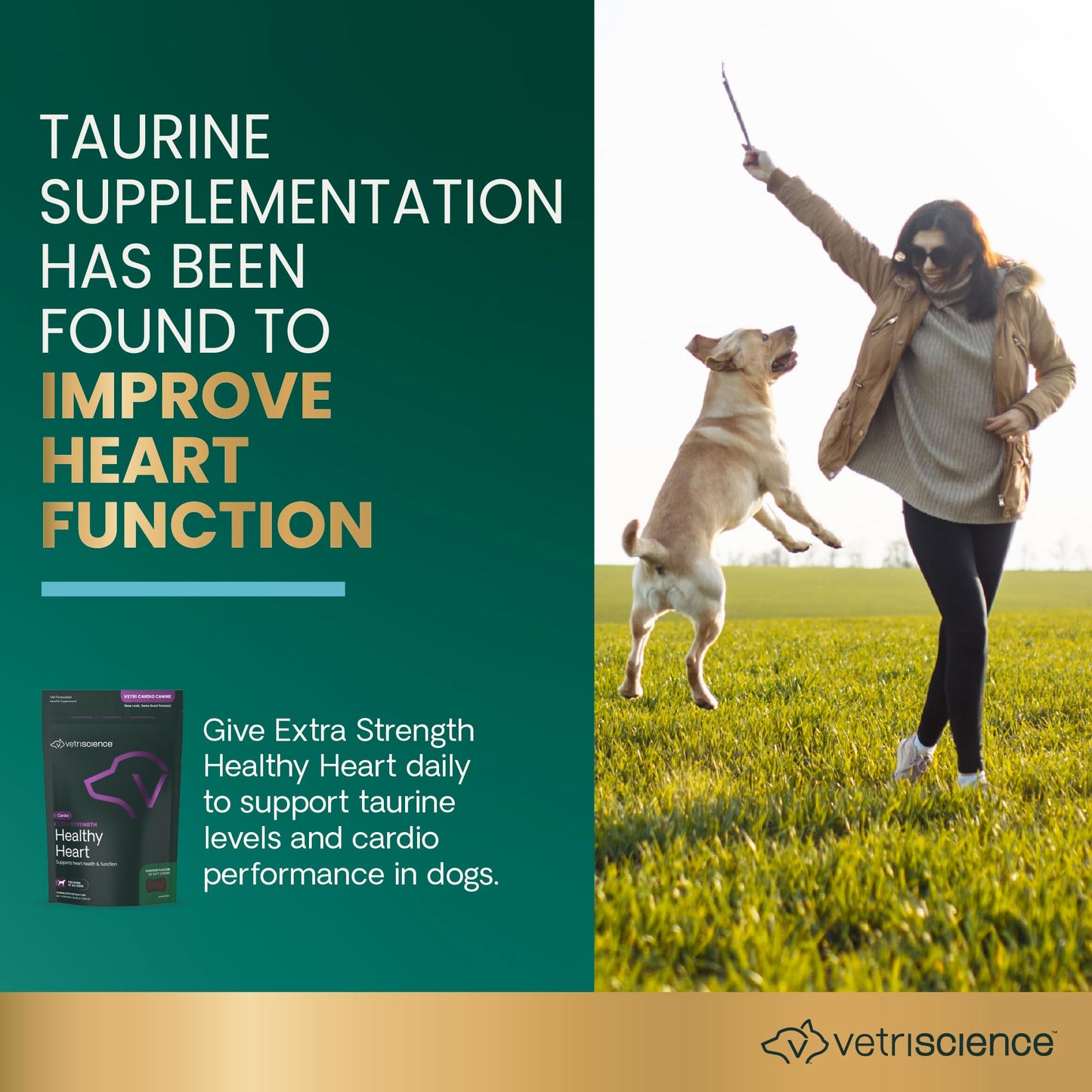 VetriScience Extra Strength Healthy Heart Chews, Vetri Cardio Supplement for Dogs, Heart Support Supplement with Taurine, Carnitine, CoQ10, Hawthorn and Berberine, Chicken, 60 Count