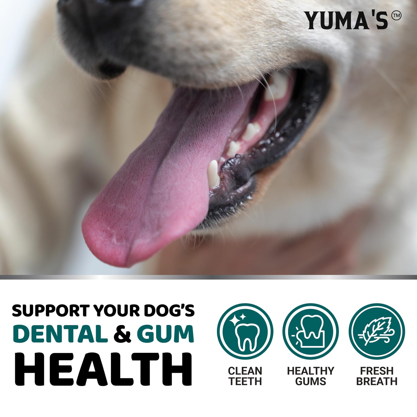 Advanced Dog Dental Powder, Breath Freshener, Dog Teeth Cleaning Powder, Bad Breath & Tartar and Plaque Off Remover for Dogs with Probiotics lab co, Pet Oral Care - 60 Scoops - Made in USA