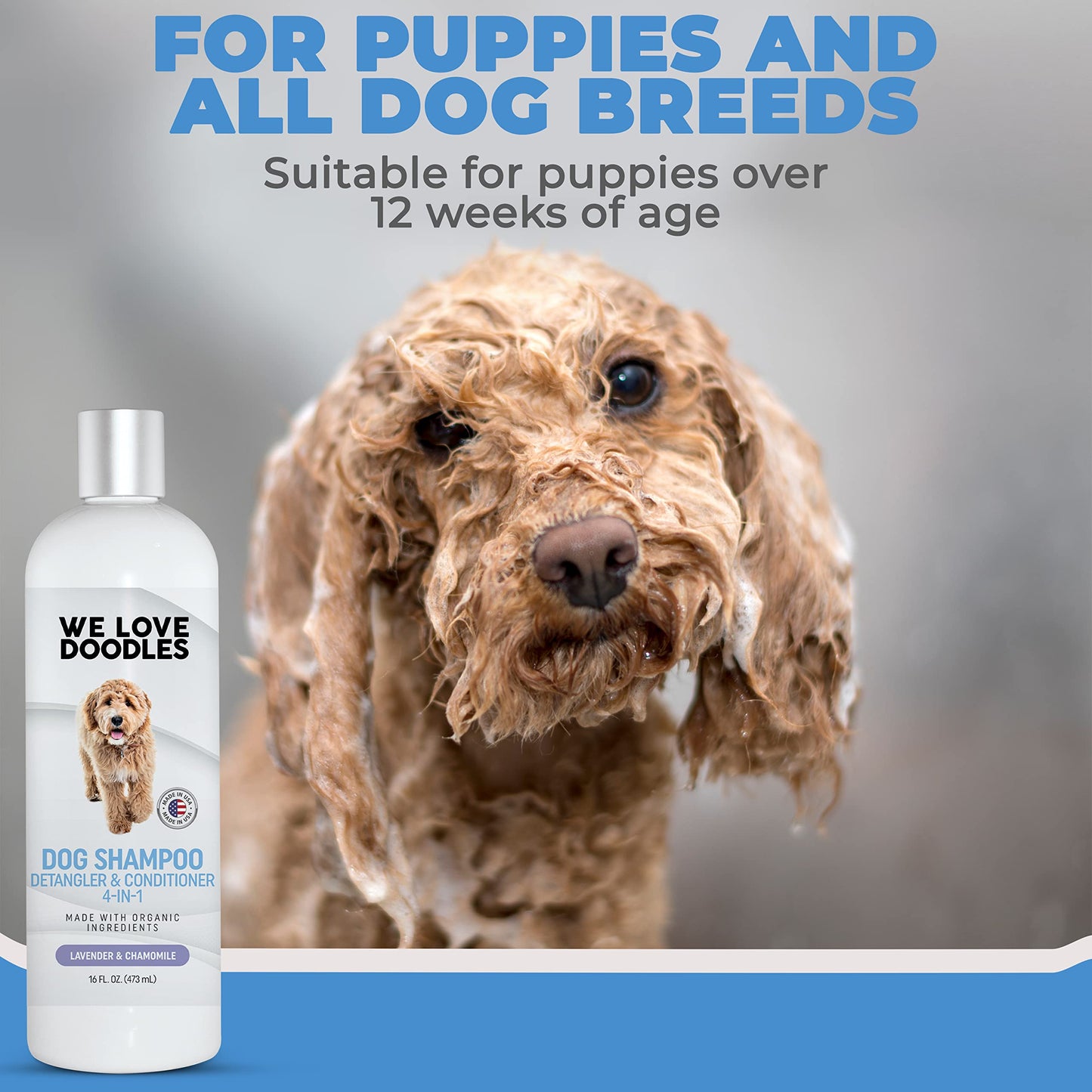 We Love Doodles Hypoallergenic & Lavender Dog Shampoo Bundle - Organic Ingredients, Sensitive Skin & Allergies, for Matted Pet Hair, Shampoo for Puppies, Made in The USA