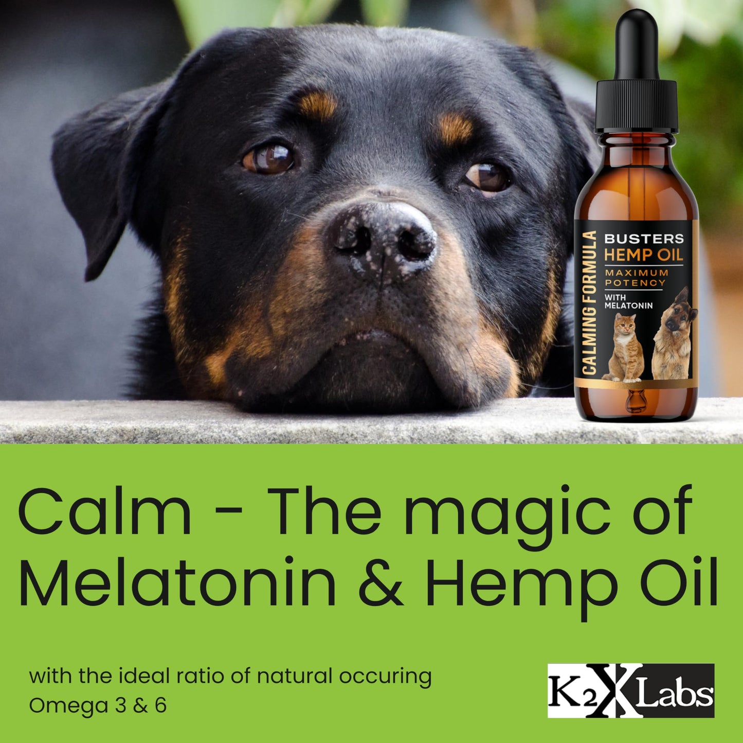 Busters Calming Hemp Oil, Enriched with Melatonin for Dogs, Cats, Pets, Sleep, WEL Being and an Ideal Omega Ratio, Adrenal and Cushings Support