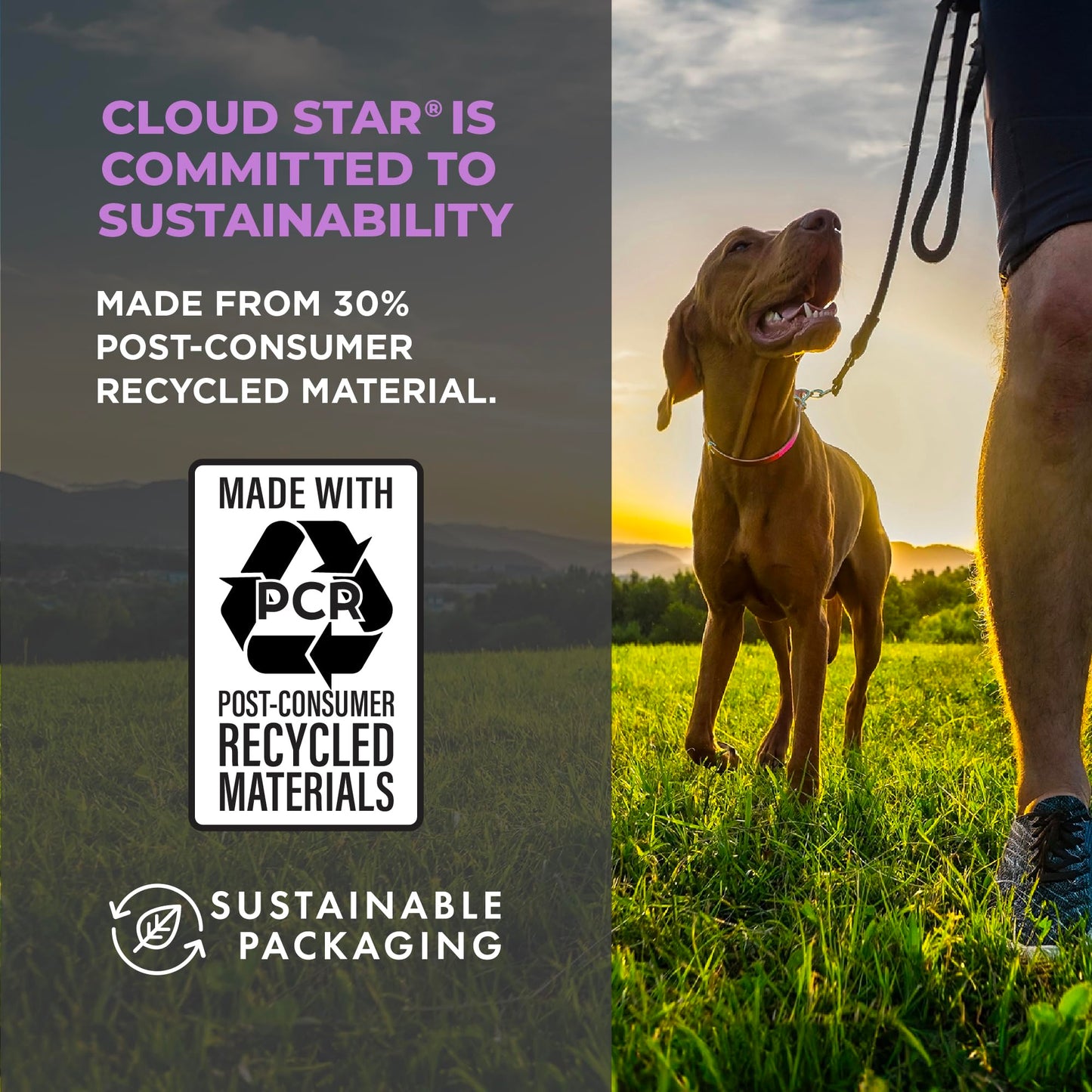 Cloud Star Wag More Bark Less 10 oz Grain Free Jerky Dog Treats with Duck & Apple