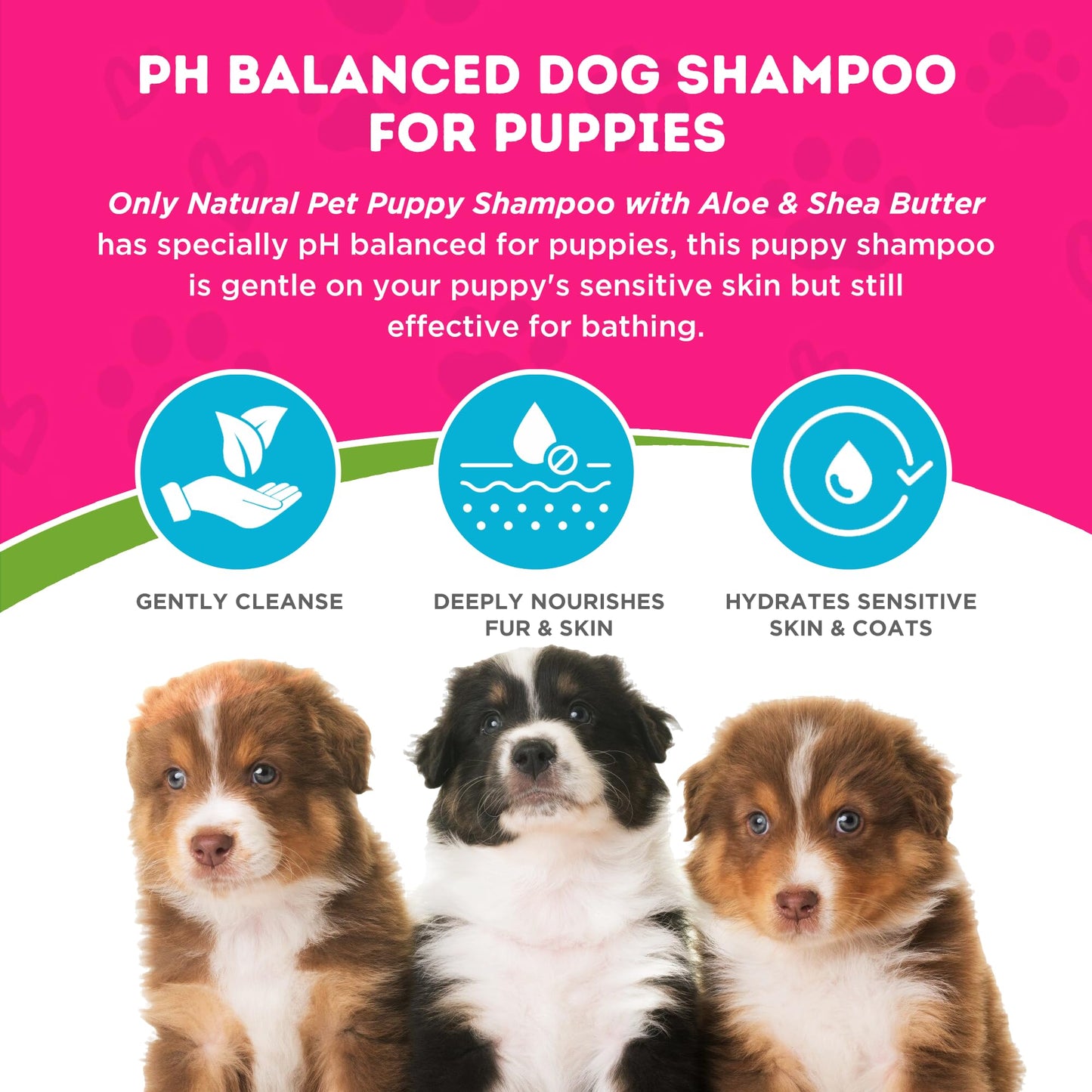 Only Natural Pet 2-in-1 Puppy Shampoo with Aloe & Shea Butter - Hydrating Dog Shampoo for Puppies with Sensitive Skin & Coat, Moisturizing Plant-Based Formula, No Fragrance - 16.9 oz