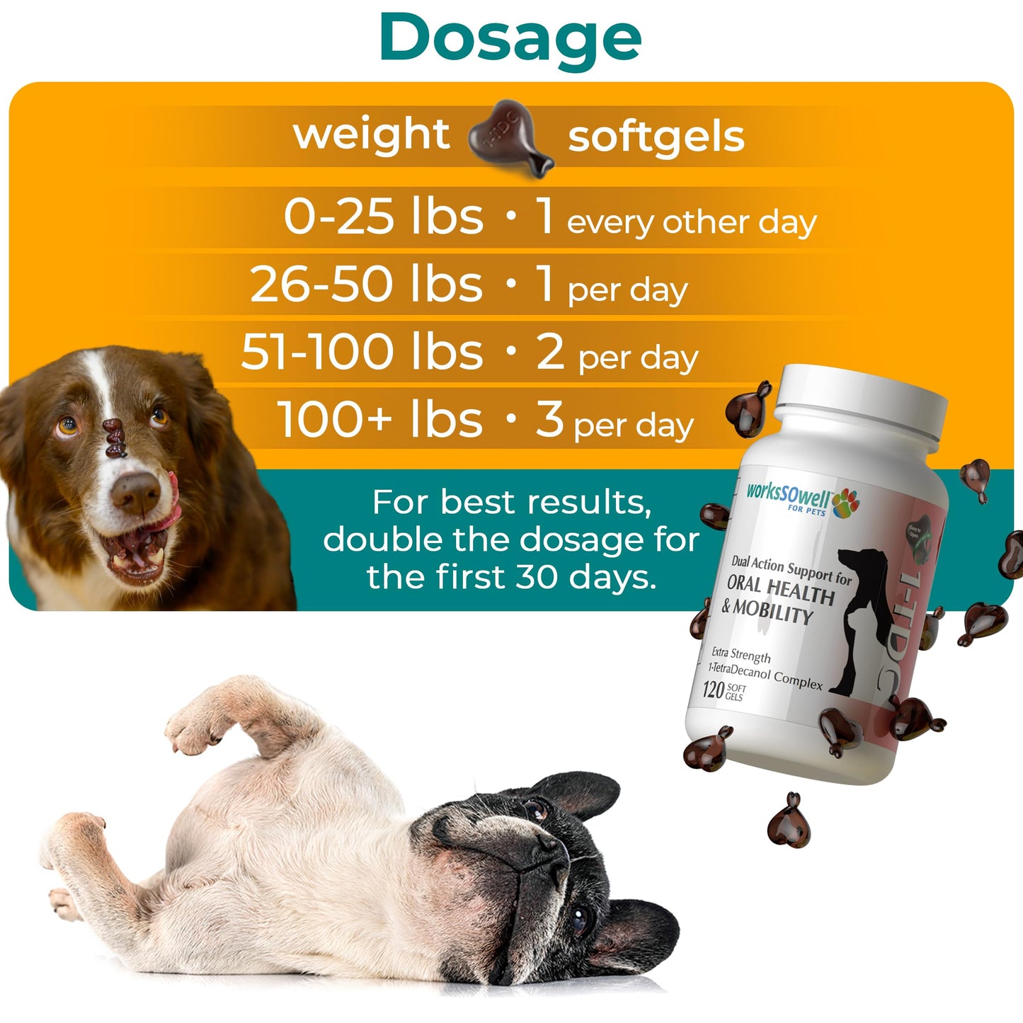1TDC WorksSoWell Dual Action Joint Supplement for Dogs & Cats - Hip and Joint Supplement for Large Breed & Small Breed - Also Great for Oral Health - Muscle & Stamina Recovery & Arthritis - 120ct
