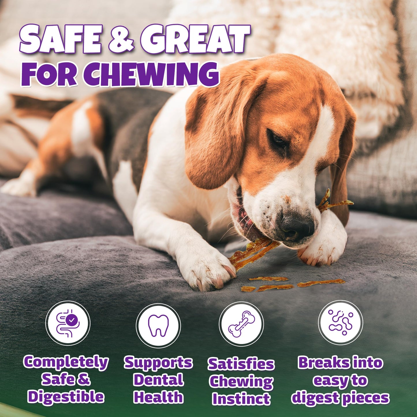 Lively Tails Turkey Tendon Strips Made in USA with 100% Turkey and No Glycerin, Healthy Jerky Dog Treats for Medium and Small Dogs, Human Grade Tendons for Dogs, 12 oz Bag