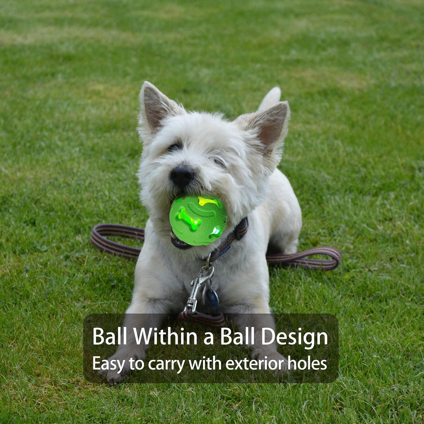 Leejec Dog Toys, 2.5" Interactive Light up Balls, Chew Toys for Medium and Small Breed, Rubber Durable Fetch Training Balls, Pet Birthday Gift, 3-Pack