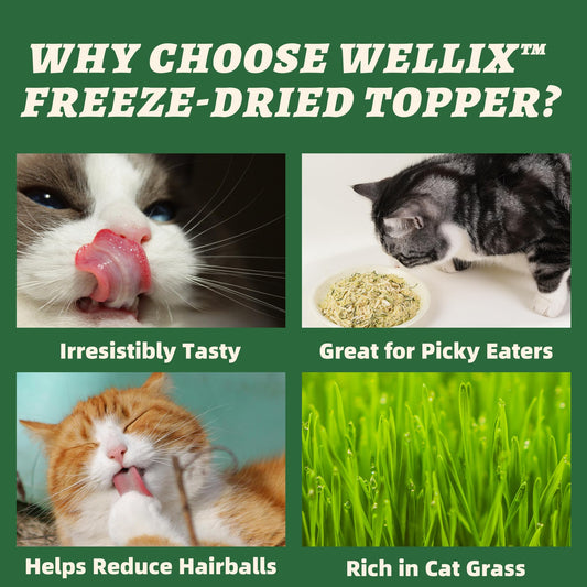 Wellix Dog & Cat Food Topper - Cat Grass Treats Freeze Dried Egg Yolk&Chicken Flavor Low Calorie - Hairball Control and Gut Health Cat Treats for Indoor Cats