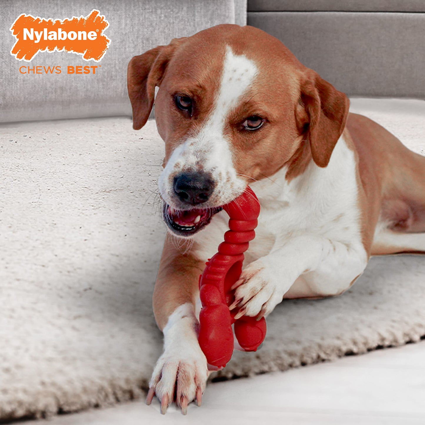 Quizvi Dog Chew Toy for Aggressive Chewers – Tough Nylon Bone with Bacon Flavor for Pitbulls & Large Dogs, Indoor Play for Teeth Cleaning & Anxiety Relief