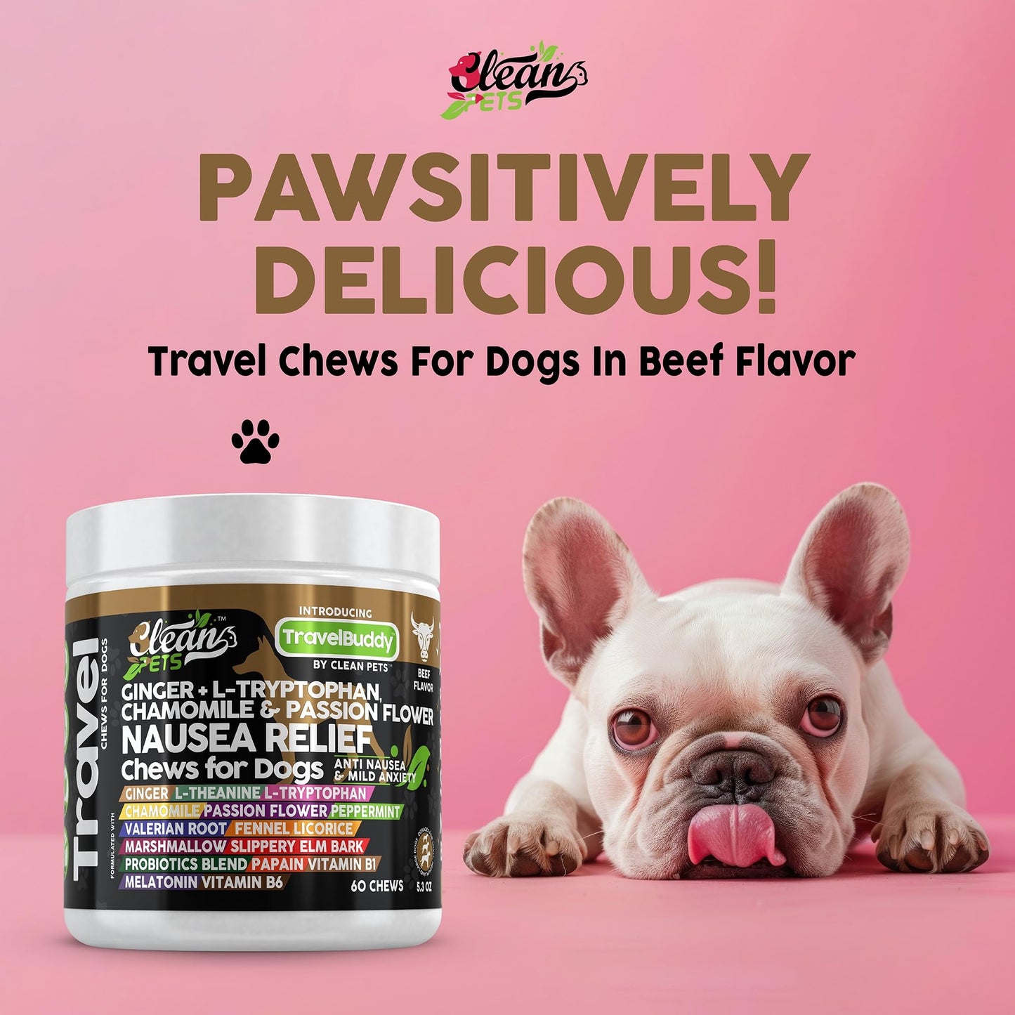 Clean Pets Travel Chews Nausea Relief for Dogs | Ginger L-Tryptophan Chamomile Passion Flower L-Theanine Peppermint Valerian Root Fennel Licorice Root Marshmallow Root Slippery Elm Melatonin Chew