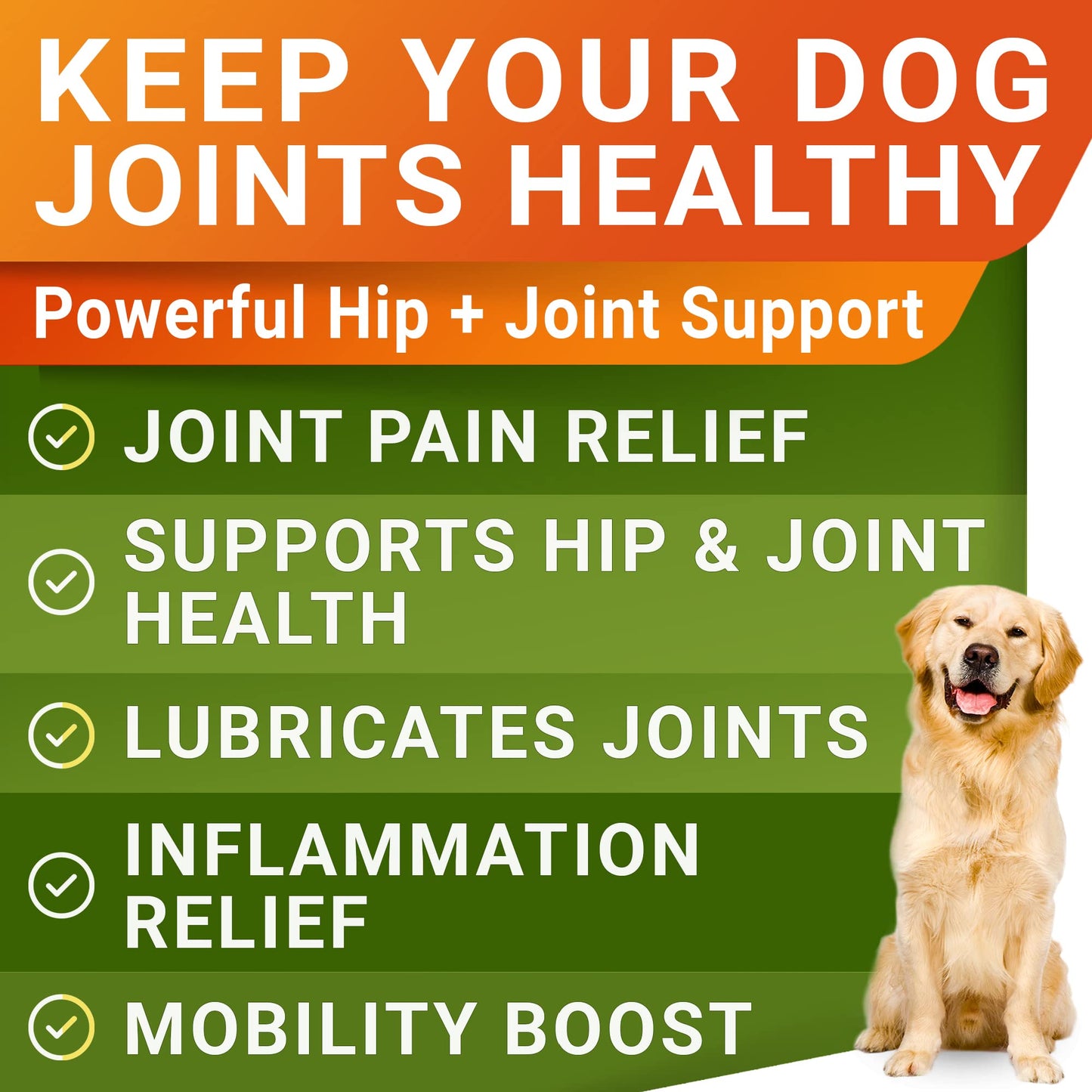 Allergy Relief + Glucosamine for Dogs Bundle - Dog Itchy Skin Treatment + Joint Pain Relief - Omega 3 + Chondroitin, MSM - Itchy Skin, Shedding, Hot Spots + Hip & Joint Care - 300ct - Made in USA