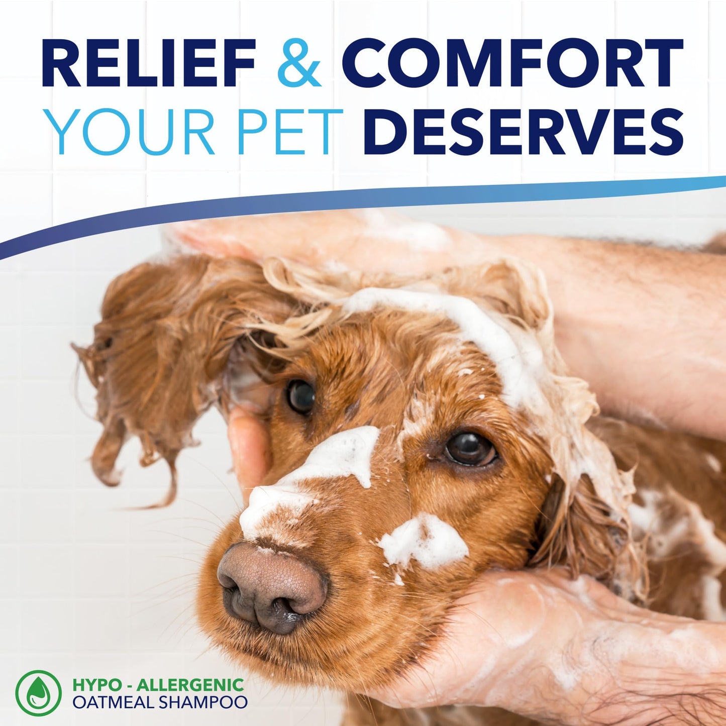 TropiClean OxyMed Hypoallergenic Dog Shampoo for Allergies and Itching, Skin Soothing Shampoo for Pets with Sensitive Skin, Tearless, Cat Safe, 1 Gallon