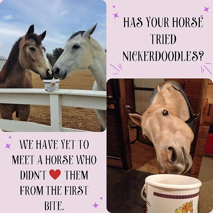 Horse Treats - 2 lb Pail - Effortlessly Give Medications with Our Soft Baked Treats - Training Treats are The Perfect Motivator - No Additives or Preservatives