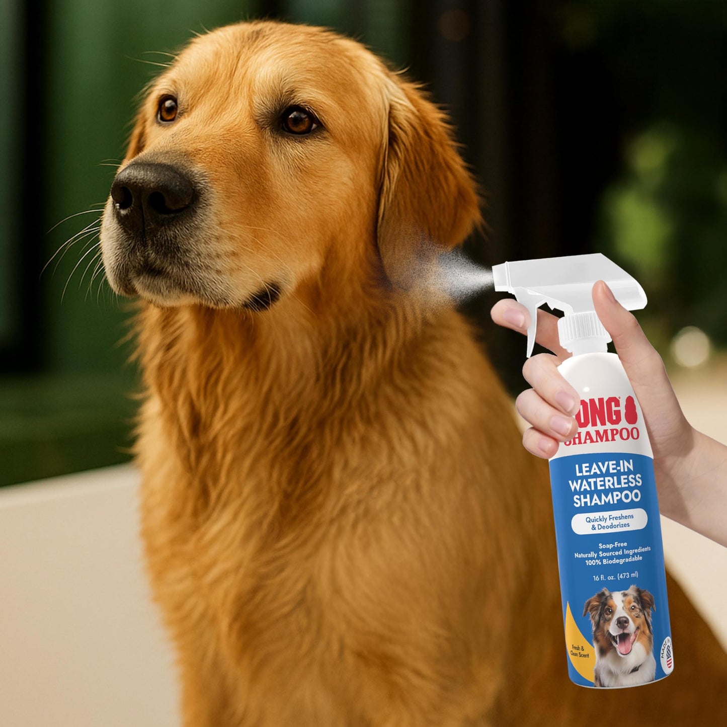 KONG Leave-in Waterless Shampoo for Dogs – Fresh & Clean Scent, 16 fl oz – No-Rinse, Biodegradable, Alcohol-Free, Dye-Free, Cruelty-Free, Gentle on Sensitive Skin, for All Coat Types, Made in USA