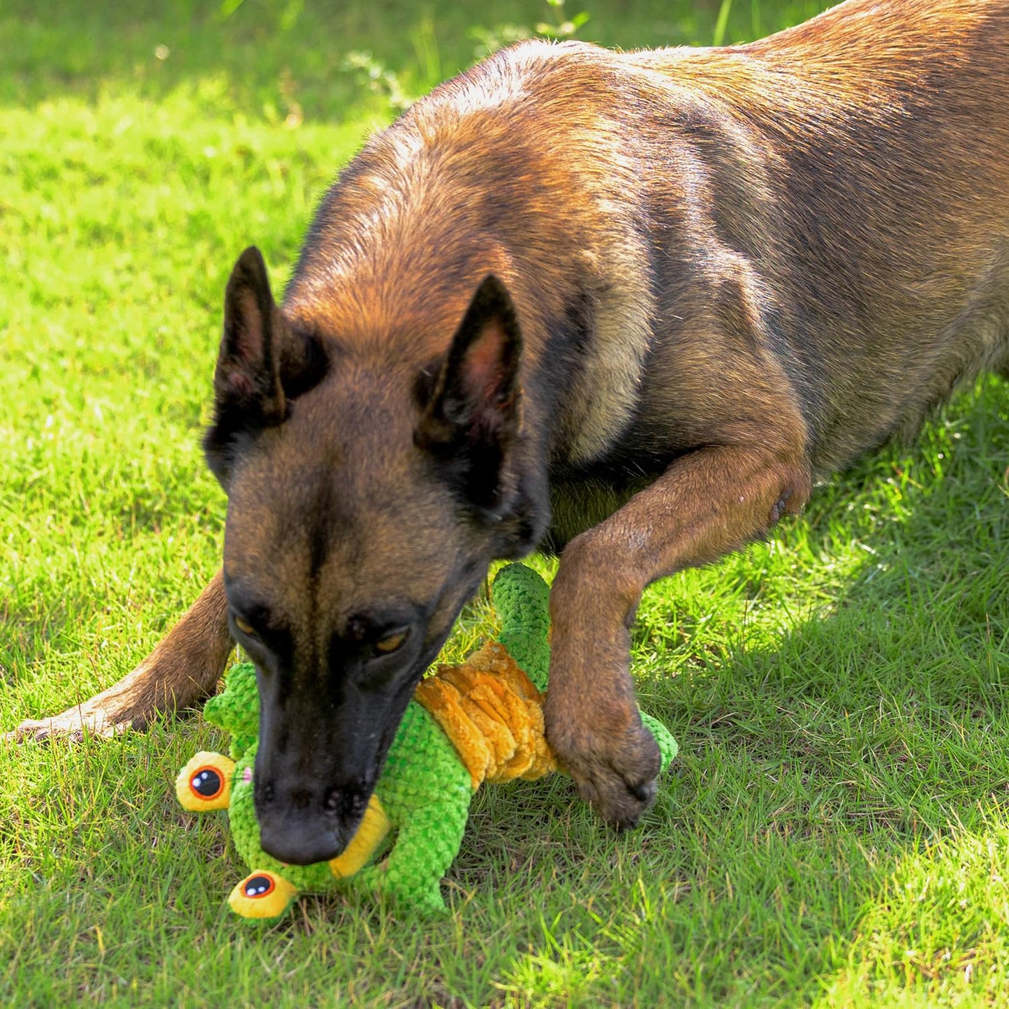 Sedioso Dog Tug Toy, Durable Dog Toys Large Breed, Tug of War Dog Squeaky Toy, Stuffed Plush Dog Toys with Crinkle Paper for Small, Middle, and Big Dogs(Tug of War Series, Frog)