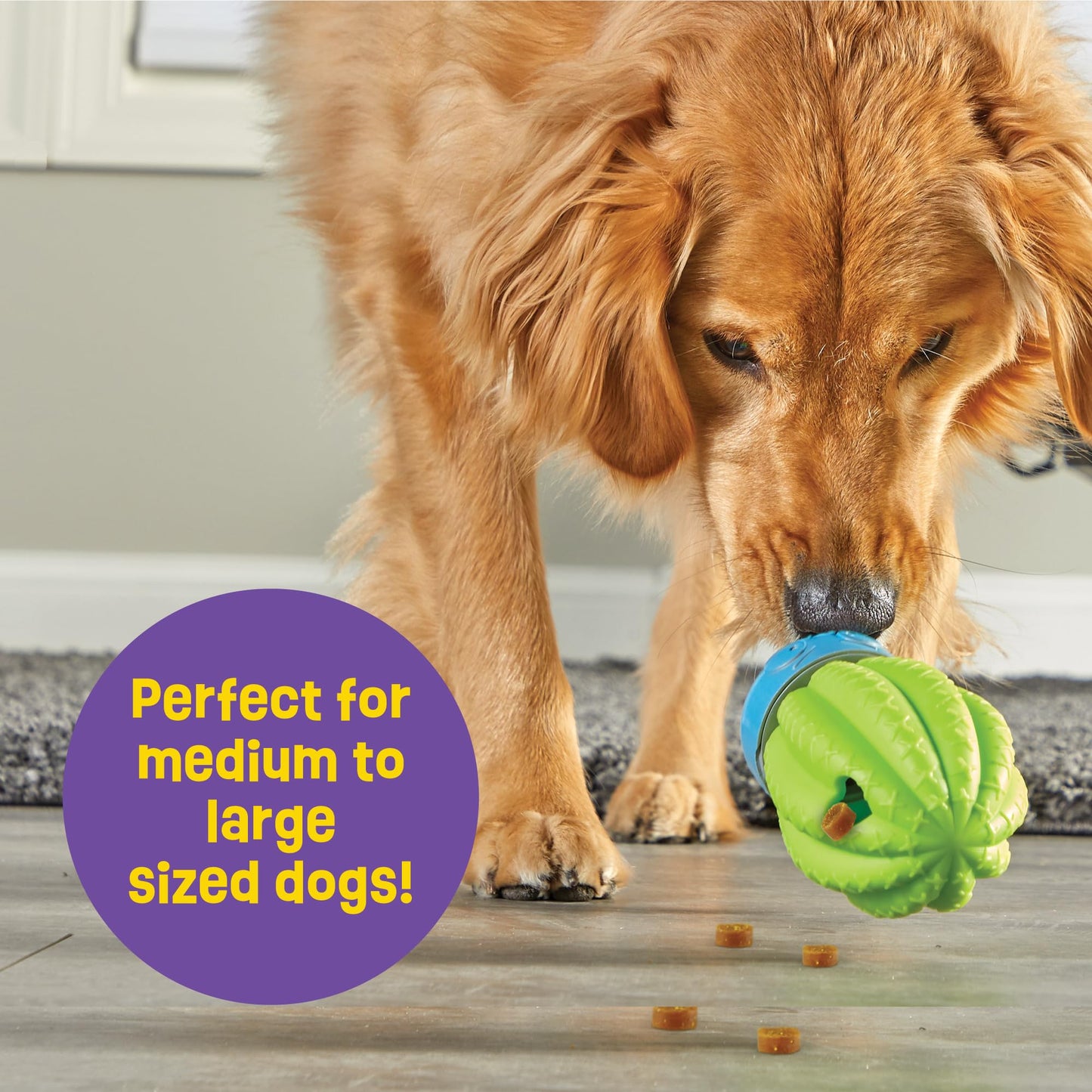 WOLNOBK Interactive Dog Toys for Large Dogs,Cat Toys for Bored Indoor Adult Cats,Smart Medium Small Dog Puzzle Toy to Keep Them Busy,Slow Feeder Dog Bowls Training Puppy Essentials Pet Gifts