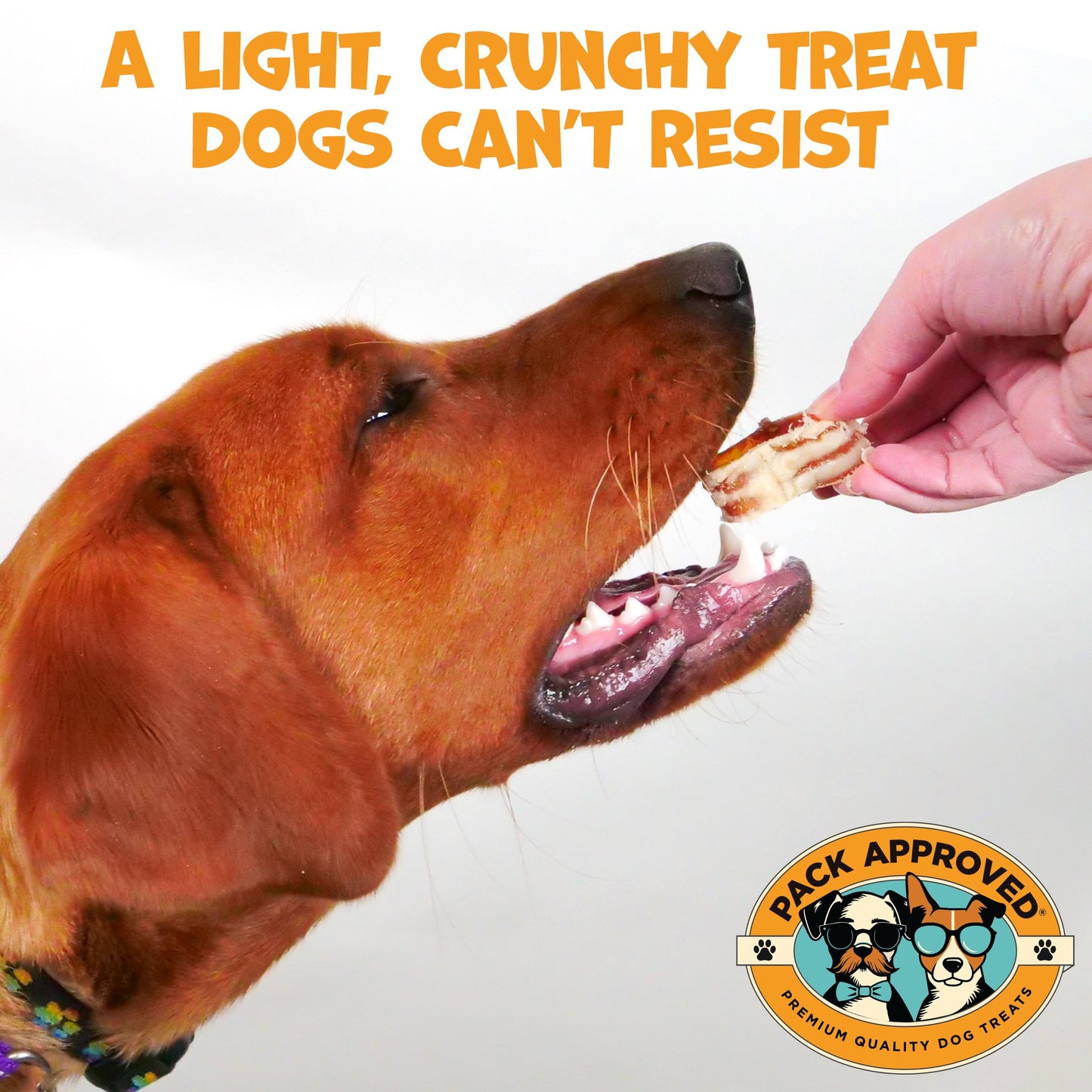 Beef Trachea for Dogs Smoke Rings - Natural Dog Chews Rawhide Free - Rich in Glucosamine Chondroitin for Joint Support, Mobility, & Training - Crunchy Dog Trachea Treats - (10 oz)