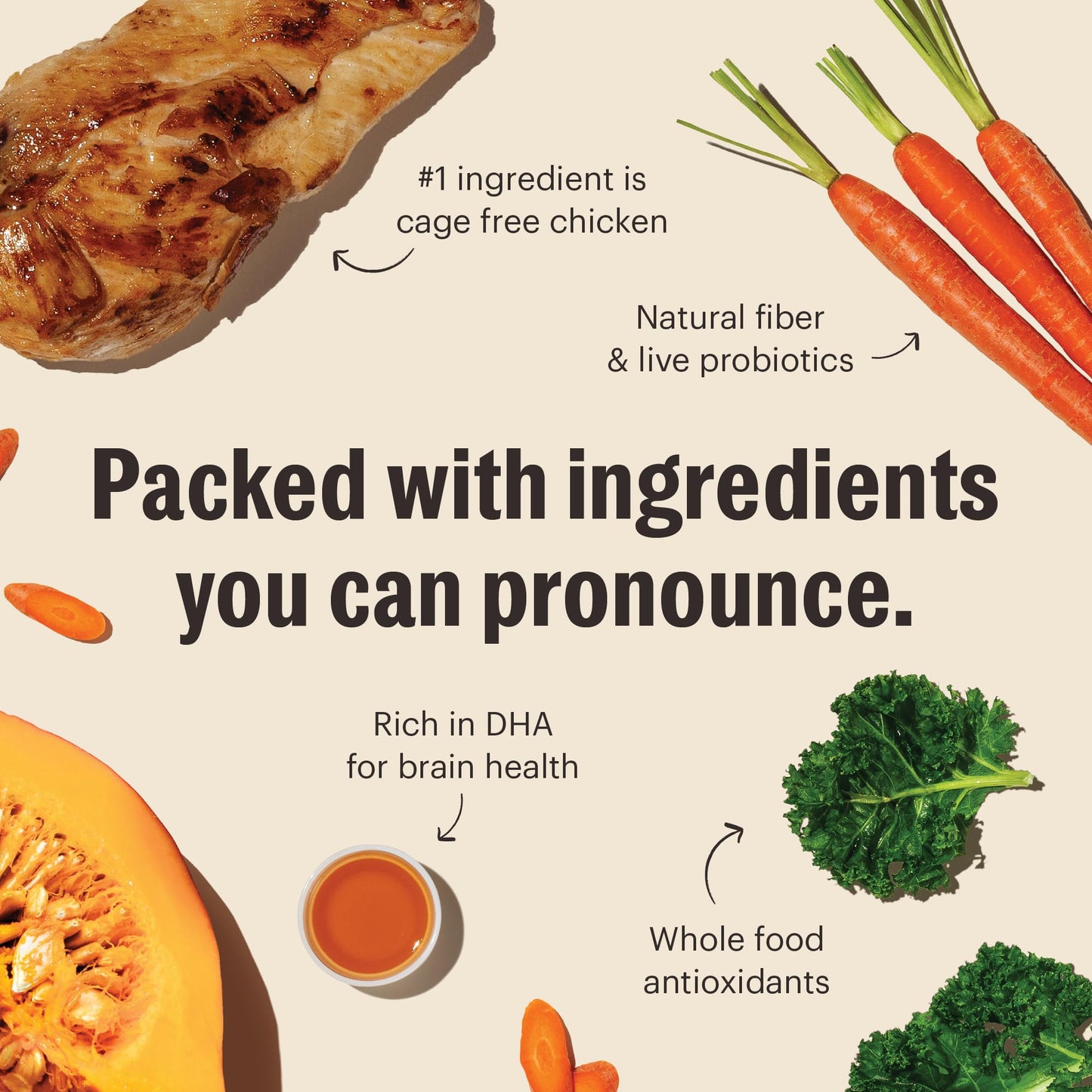 The Honest Kitchen Whole Food Clusters Puppy Grain Free Chicken Dry Dog Food, 20 lb Bag