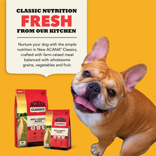 ACANA Classics Dry Dog Food Beef and Barley Recipe 22.5lb Bag