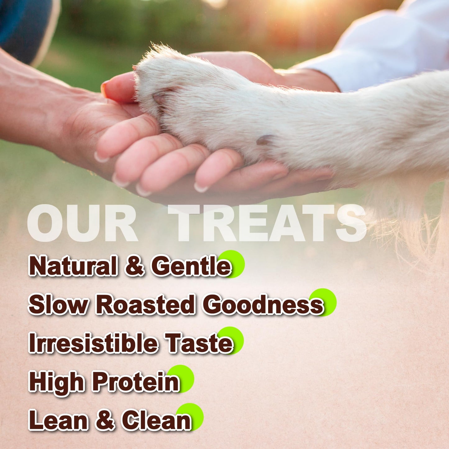 AFreschi Natural Chicken Breast Jerky 16 oz, Dog Treats, All Natural, Grain-Free, High-Protein, Low Fat, Healthy & Easily Digestible