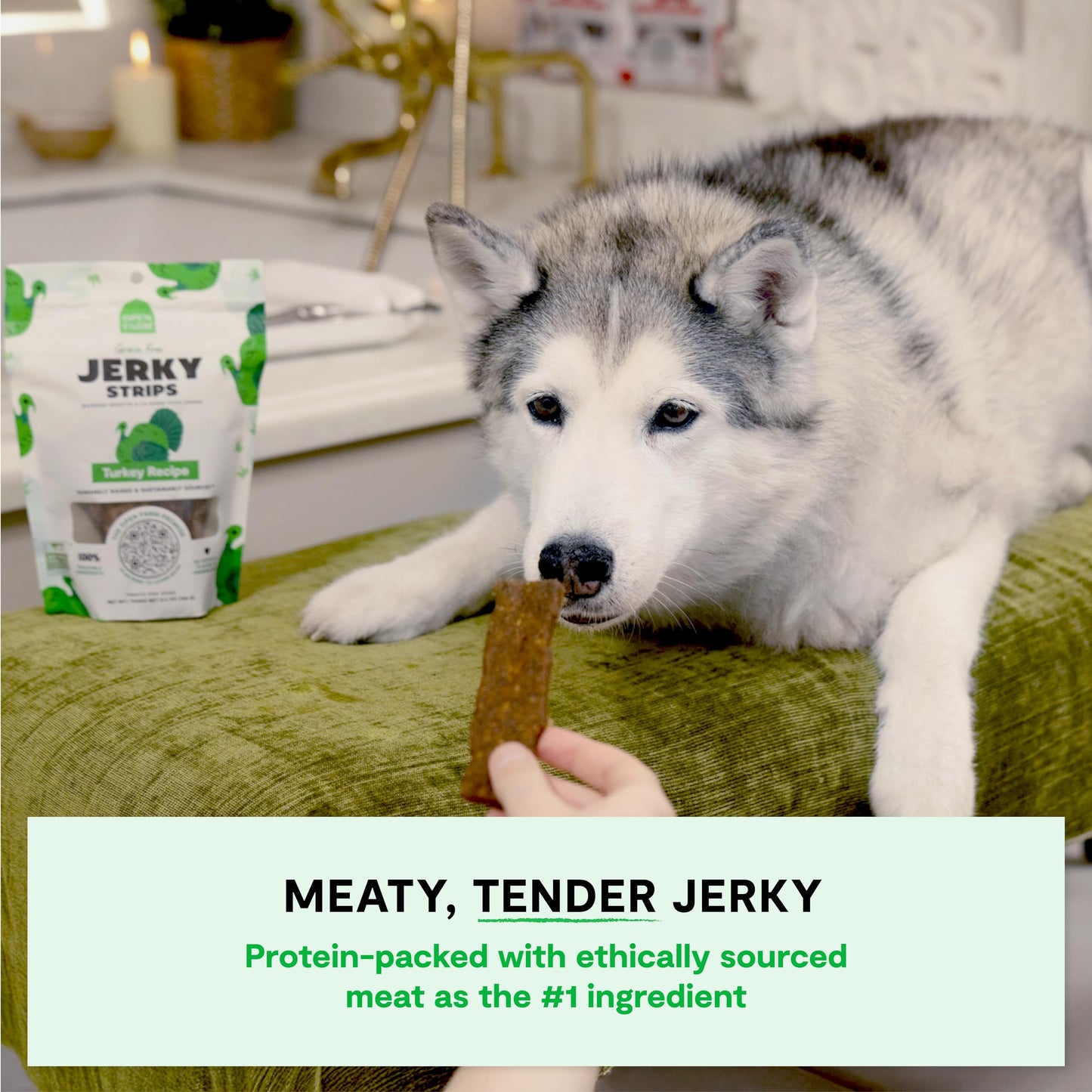 Open Farm, Dog Jerky Treats, Soft & Chewy Oven-Baked Jerky Strips Made with Ethically & Sustainably Sourced Ingredients, Protein Packed Dog Treats, Grain-Free Turkey Recipe, 5.6oz Pouch