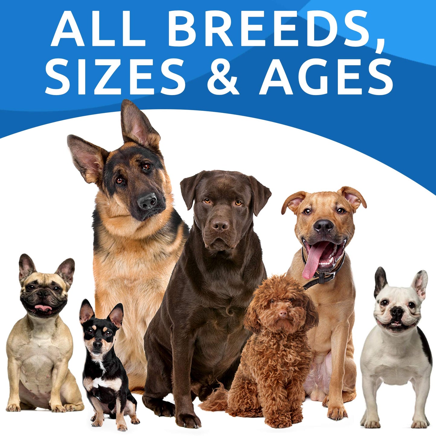 Allergy Relief + Probiotics & Digestive Enzymes for Dogs - Anti-Itch Skin & Coat Supplement - Omega 3 Fish Oil - Gut Health - Pet Diarrhea Gas Treatment, Upset Stomach Relief Pills, Digestion Health