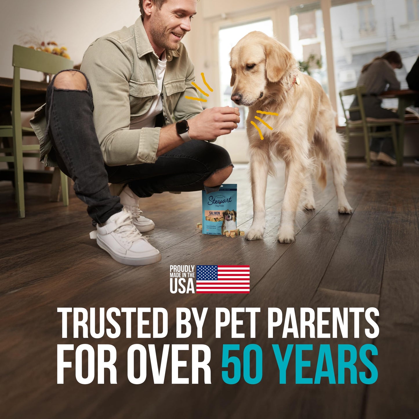 Stewart Single Ingredient Freeze Dried Raw Dog Treats, Wild Salmon, 2.75 Ounce, Approx. 55 Pieces per Resealable Pouch, Training Treats or Meal Topper, High Protein, Grain Free, Gluten Free