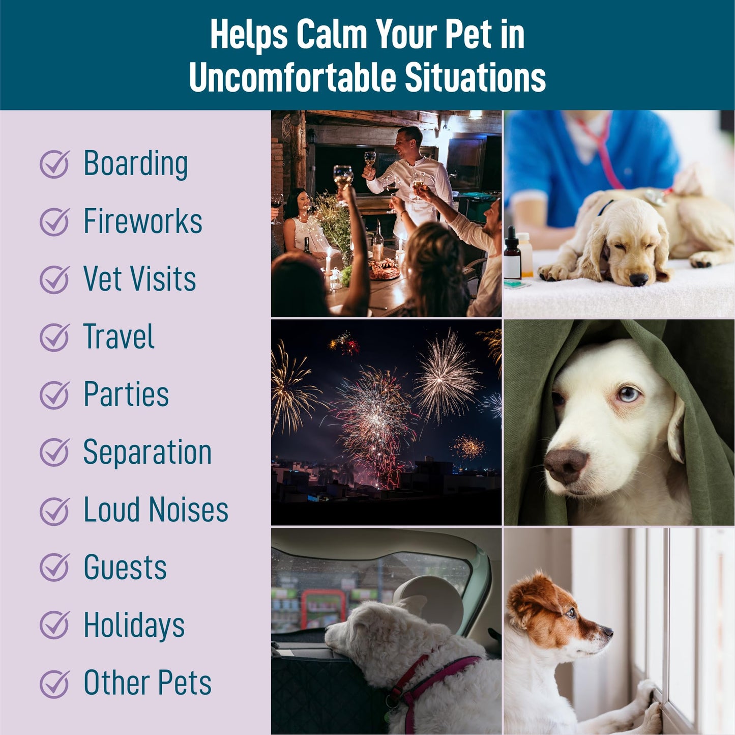 Saint Barkus Calming Chews Treats for Dogs with melatonin for Dogs to Provide Calming, Stress and Dog Anxiety Relief. 90 Bacon-Flavored Soft Chews