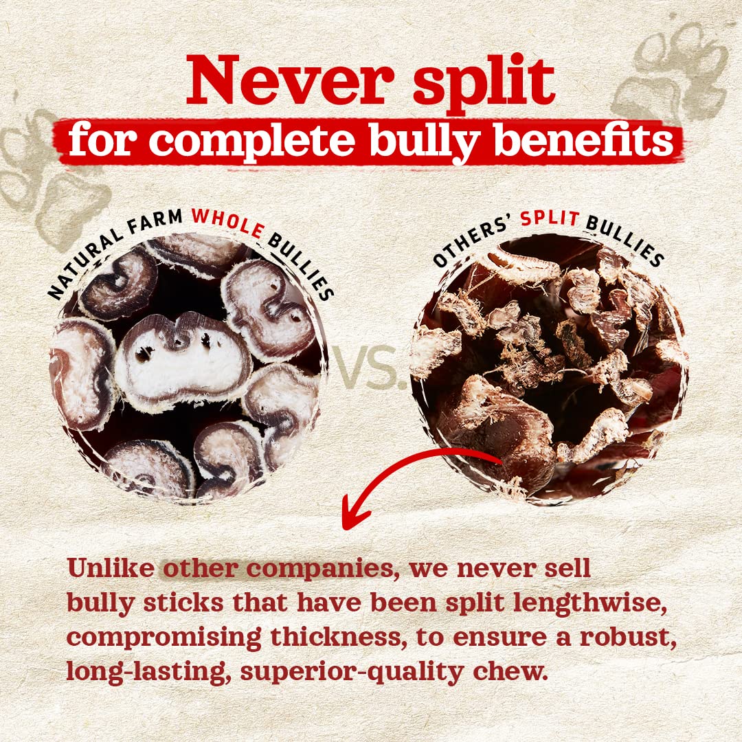 Solid Gold Healthy Weight Management Dry Dog Food for Adult & Senior Dogs - With Pollock, Whole Grain & Probiotics for Gut Health & Digestion Support - Dry Dog Food for Weight Management Support – 4LB