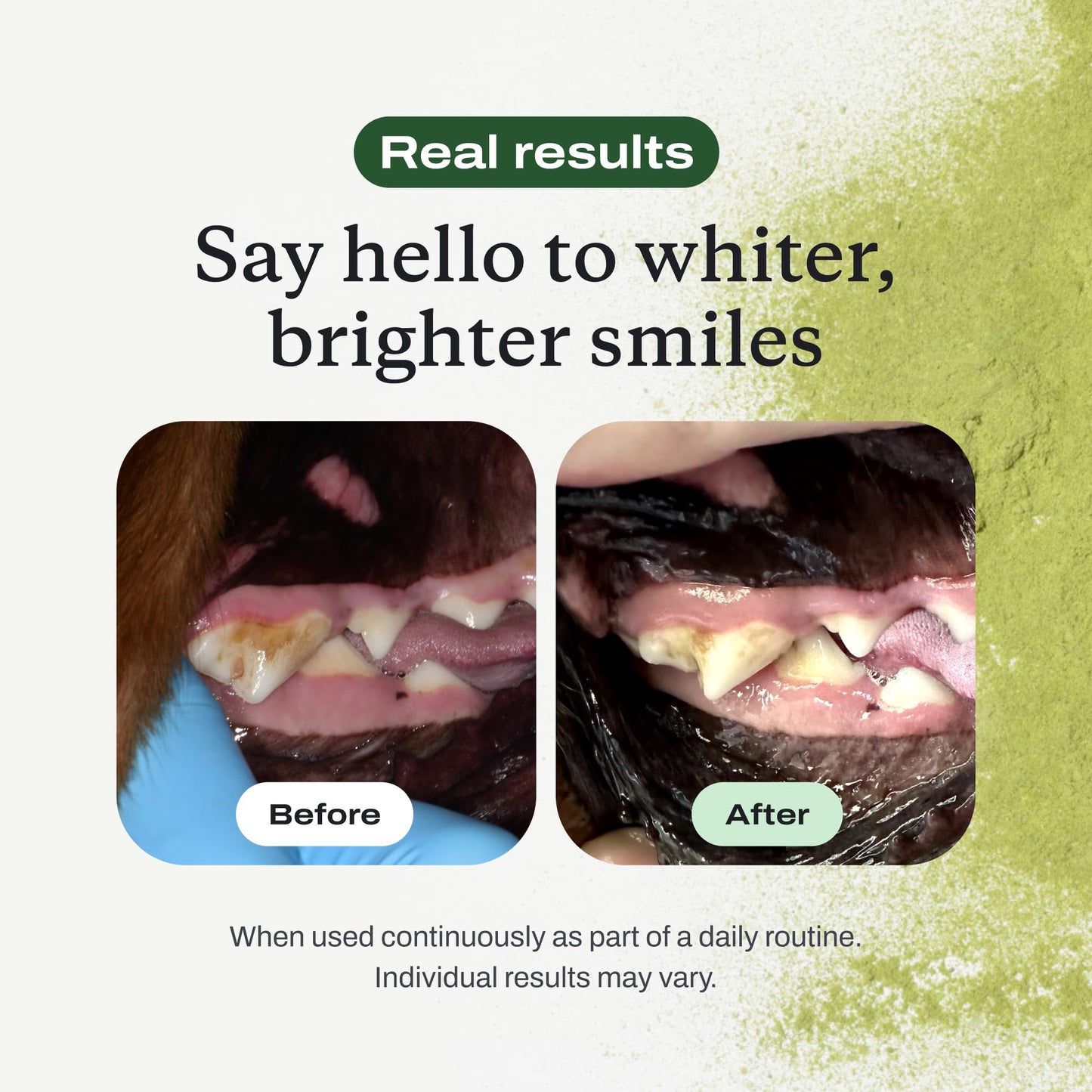 PetLab Co. ProBright Dental Powder - Dog Breath Freshener - Teeth Cleaning Made Easy – Targets Tartar & Bad Breath - Formulated for Extra Small Dogs - Packaging May Vary