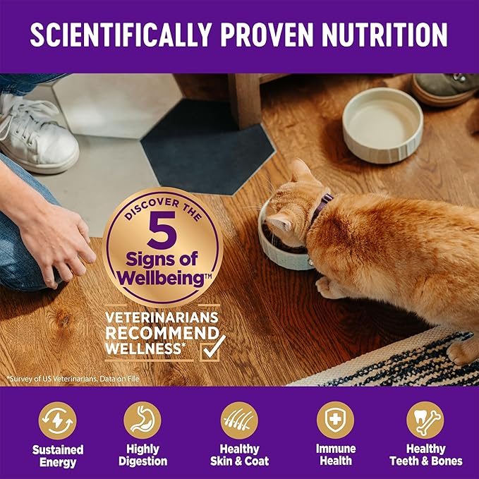 Wellness Complete Health Adult Dry Cat Food for Indoor Cats, Wholesome Grains, Natural, Chicken (5 Pound Bag)