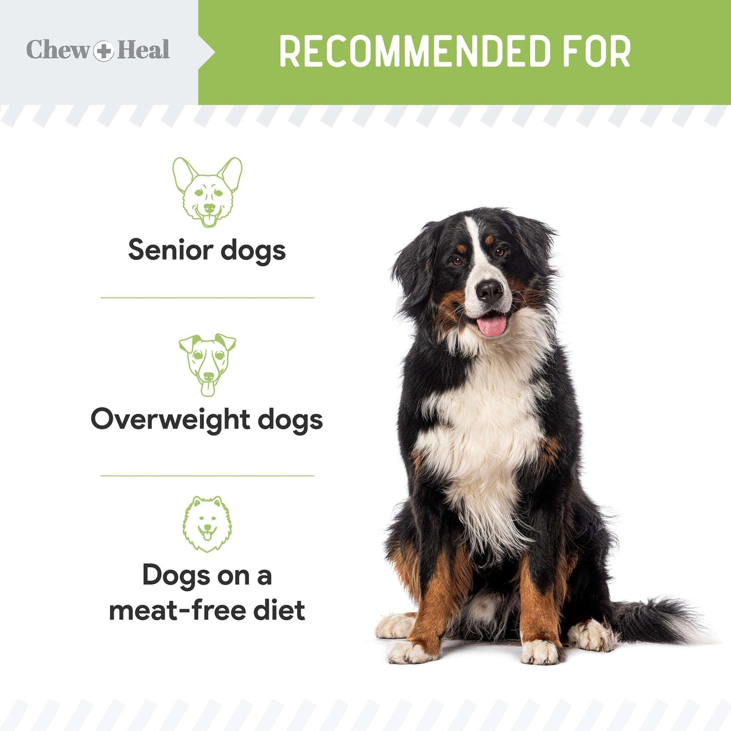 Chew + Heal Labs Low Calorie Dog Jerky Treats - 12 oz of Vegan Plant Based Natural Dog Treats with Chia Seeds, Fruits, and Vegetables - Good for Weight Management - Made in The USA