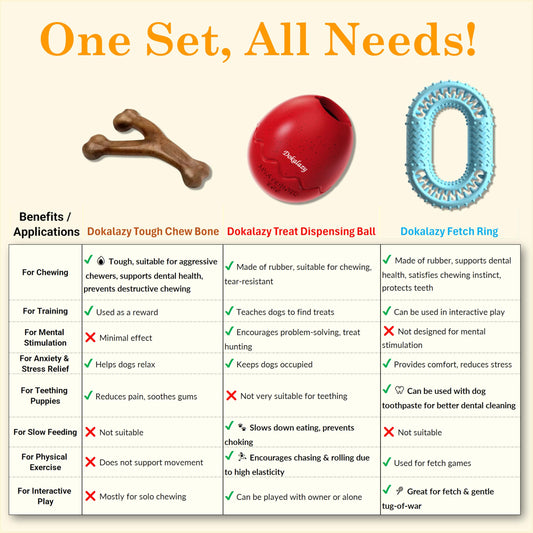 All-Inclusive Tough Dog Toy Set: Treat Dispenser Ball for Non-Stop Play, Durable Nylon Bone for Aggressive Chewers & Rubber Ring for Fetch Fun
