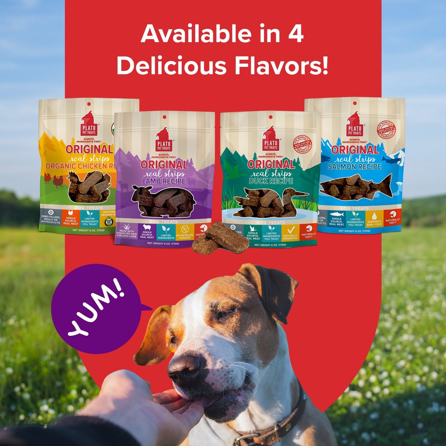 PLATO Pet Treats Real Strips - Air-Dried Meat Bars for Dogs - Delicious, Limited Ingredient Dog Treats - Grain Free - Original Real Strips Lamb 6oz