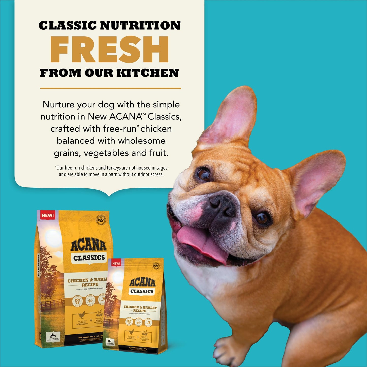 ACANA Classics Dry Dog Food Chicken and Barley Recipe 22.5lb Bag