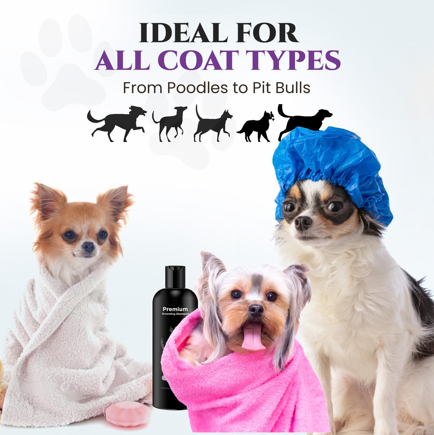 605Products Premium Dog Shampoo - Gentle Formula for Itchy & Sensitive Skin, Odor Eliminator for Puppies, Natural Deodorizer for Pets (10oz)- Lavender