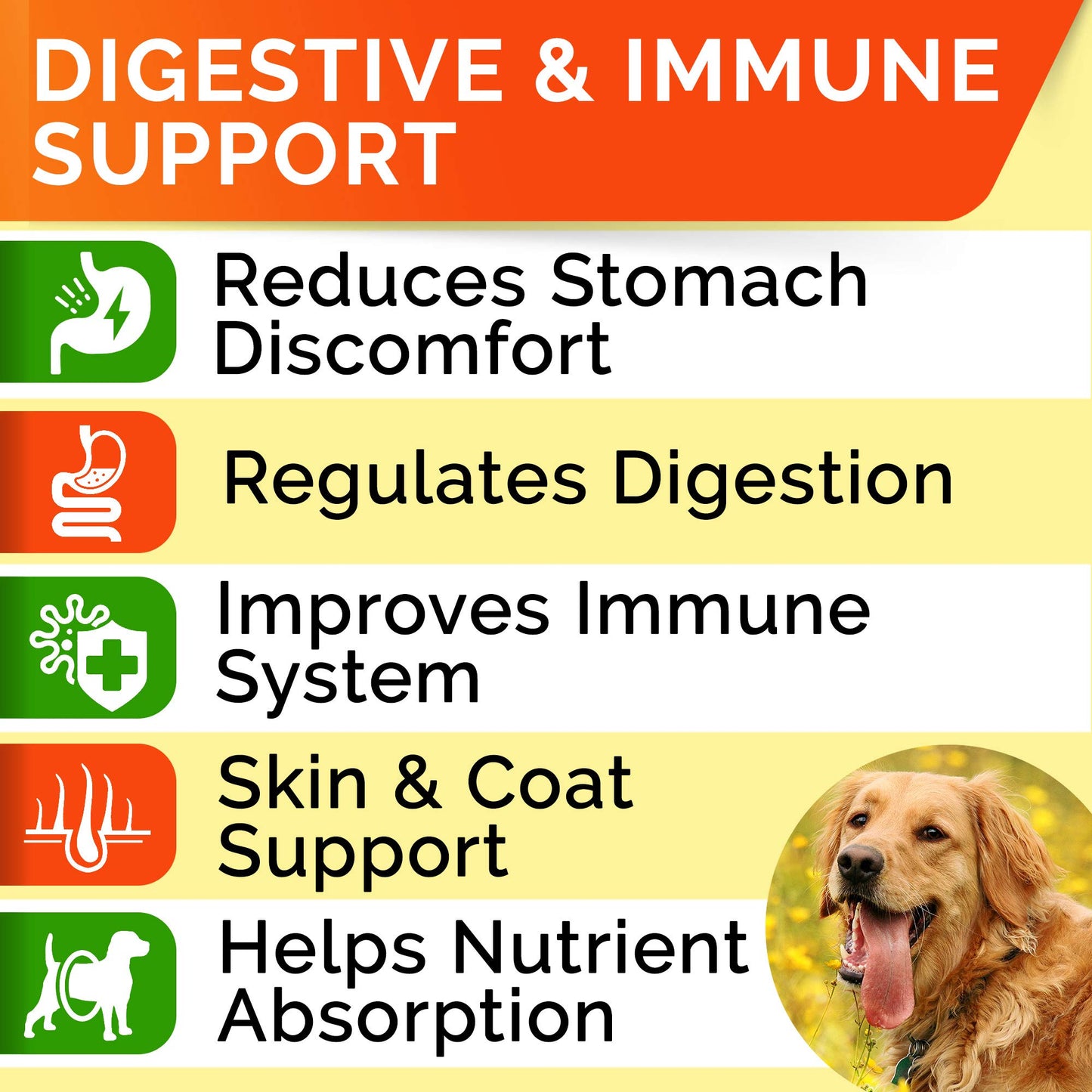 Probiotics + Allergy Relief for Dogs Bundle - Chewable Fiber Supplement + Itchy Skin Treatment - Digestive Enzymes + Omega 3 & Pumpkin - Upset Stomach Relief + Itch Relief- 360 Chews - Made in USA